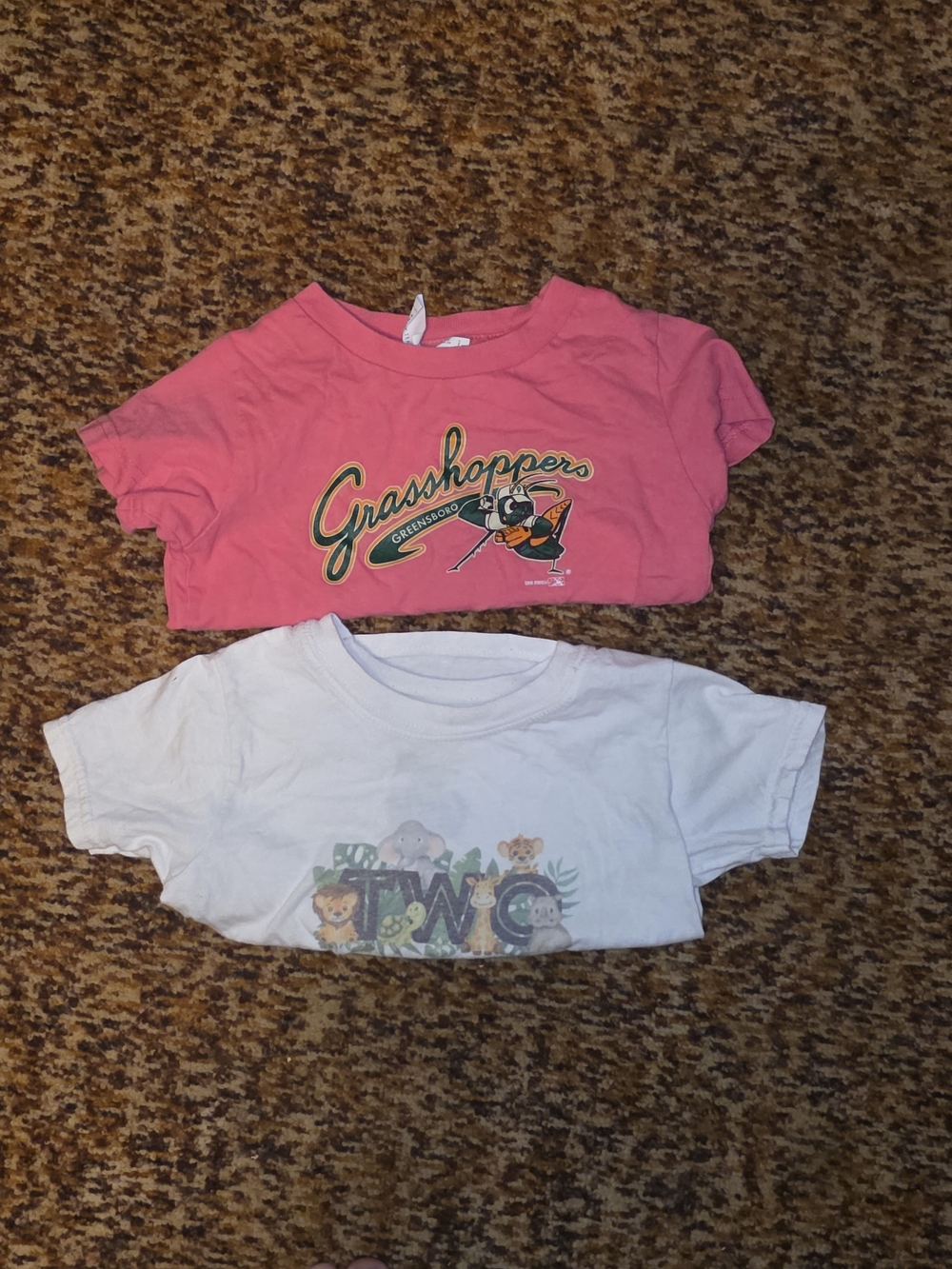 Hanes Pink Grasshoppers Graphic Tee for Kids
